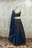 Navy Blue Lehenga with Delicate Golden Embroidery - Elegant Ethnic Ensemble
