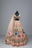 Multi Color silk Embroidered Resham Geometric Pattern Lehenga Set