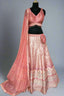 Mesmerizing pink lehenga with soft net dupatta