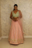 Pink Lehenga Net Embroidered Sequin Square Embellished Set