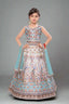 Elegant peacock lehenga with pastel blue dupatta