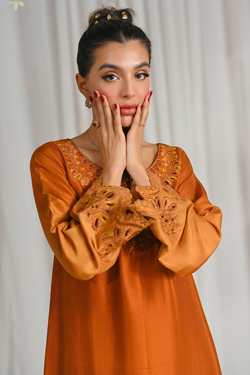 Ansab Jahangir | Cest Parti Luxe Pret 25 | Sienne