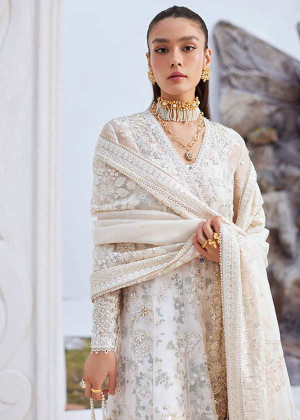 Suffuse | Freeshia Formal | YASNA