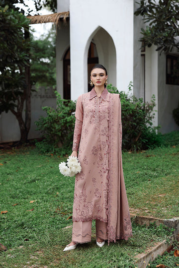 Qalamkar | Q Linen 25 | KL-08 VEIL