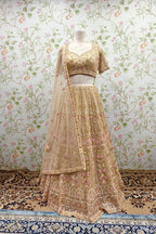 Golden Shade Lehenga with Heavy Embroidery - Designer Ethnic Wear