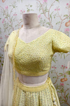 Traditional Embroidered Lehenga and Textured Blouse in Pistachio Color - Designer Ethnic Masterpiece