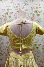 Traditional Embroidered Lehenga and Textured Blouse in Pistachio Color - Designer Ethnic Masterpiece