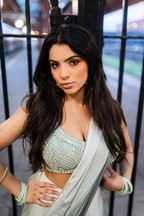 Mint Saree with Embroidered Blouse