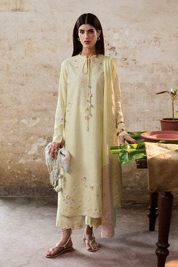 Suffuse | Basic Summer 25 | AMAAH