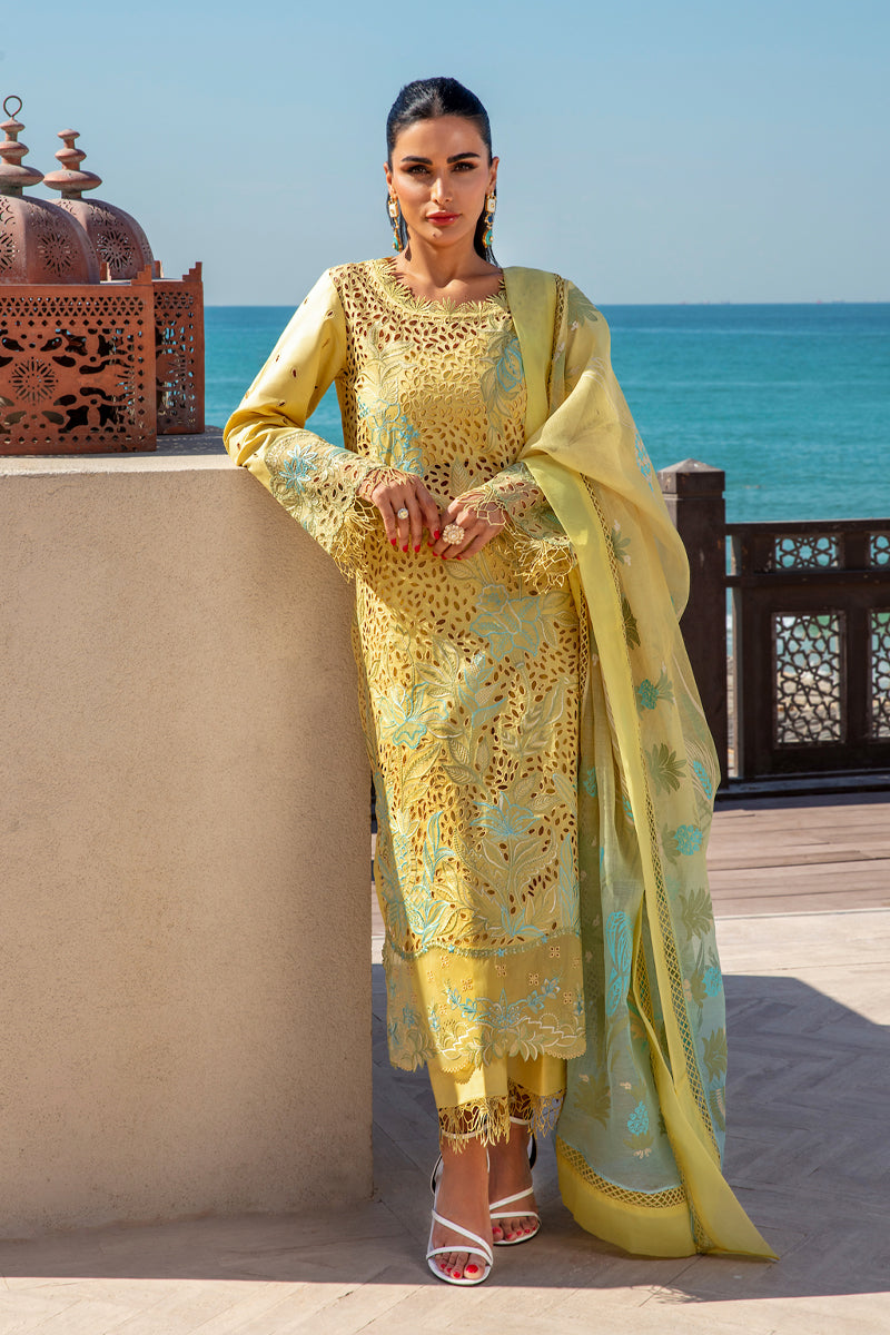 Rangrasiya | Premium Summer Lawn 25 | Minal