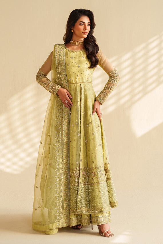 Naqshi | Feemora Organza Raw Silk | Zeesha