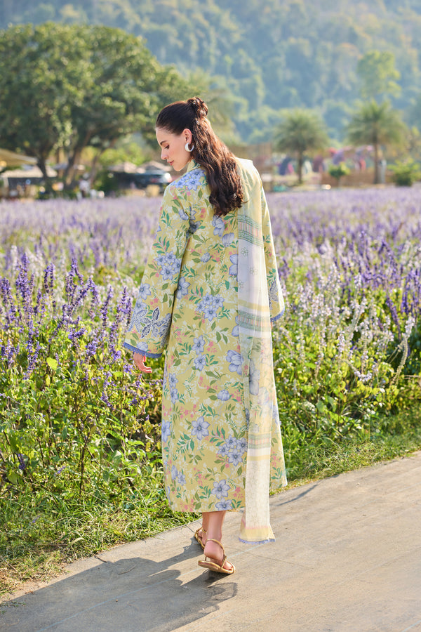 Farasha | Summer Escape 26 | Lemon Fern