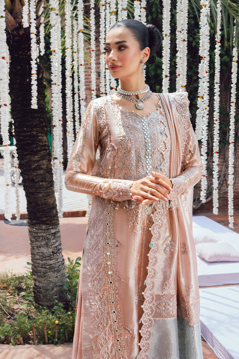 Rangrasiya | Wedding Formals 25 | Nayab