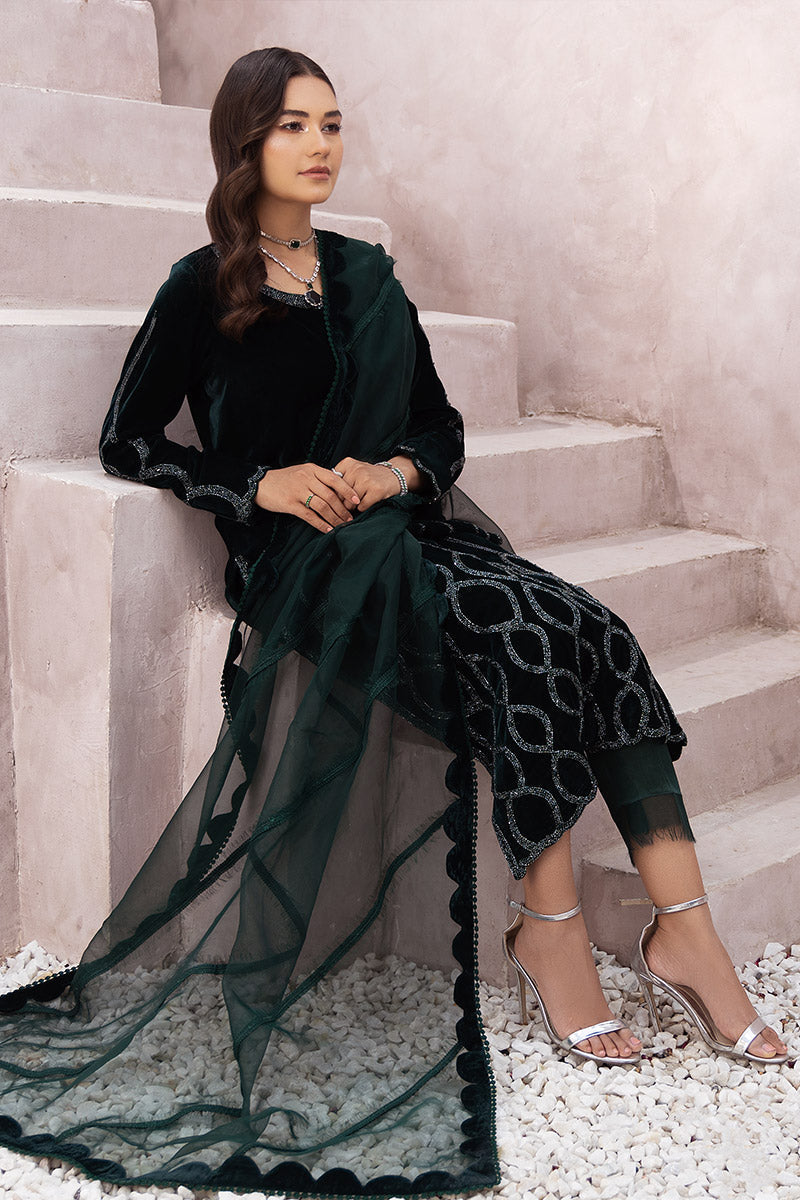 Chic Ophicial | Velveteen Luxury Fall Collection | Aysel