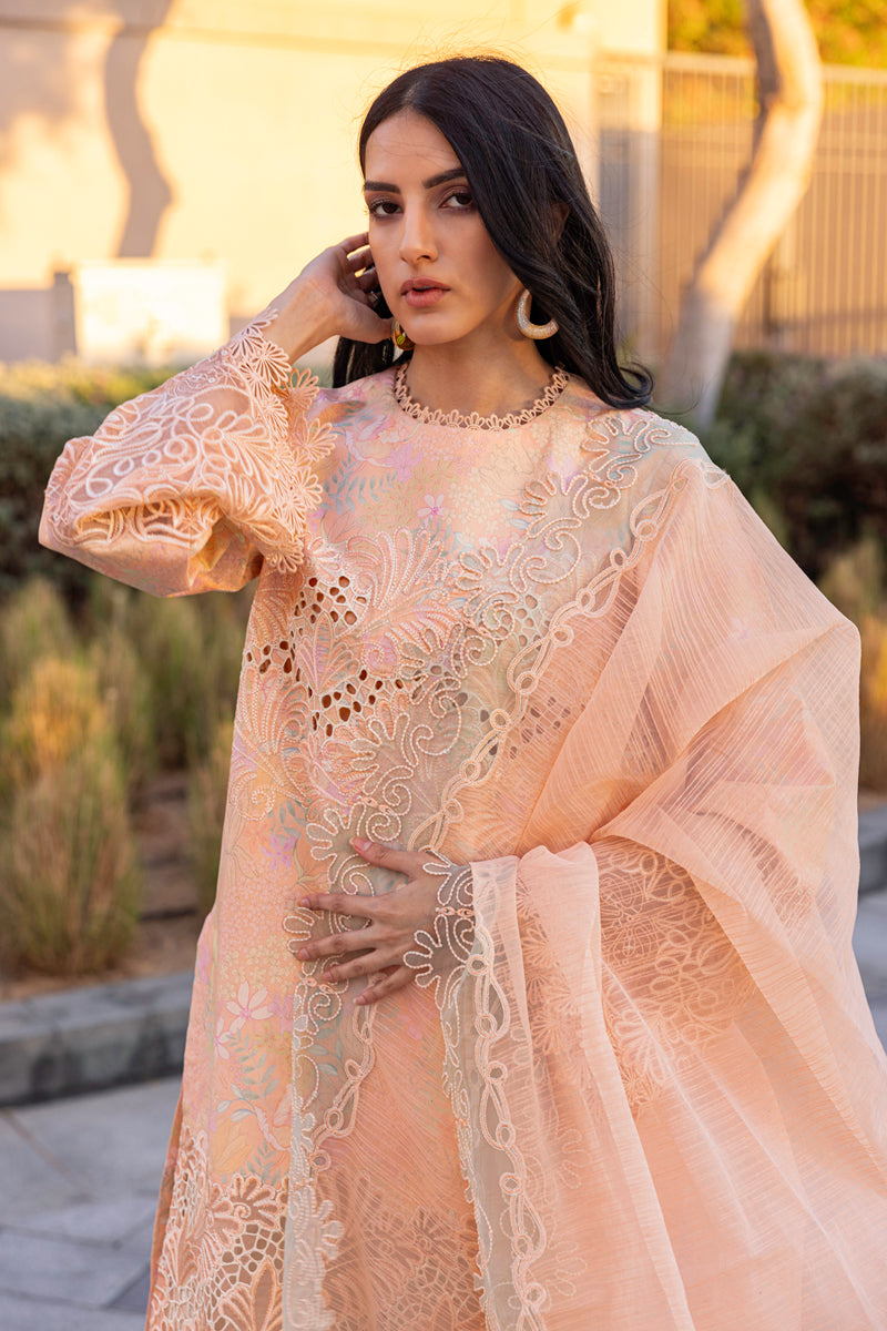 Rangrasiya | Carnation Summer Edit 25 | Zinnia