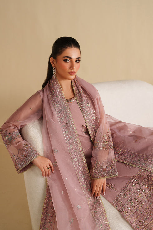 Naqshi | Feemora Organza Raw Silk | Ushna