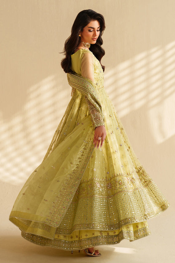 Naqshi | Feemora Organza Raw Silk | Zeesha