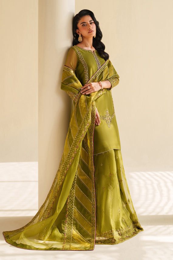 Naqshi | Feemora Organza Raw Silk | Feeha