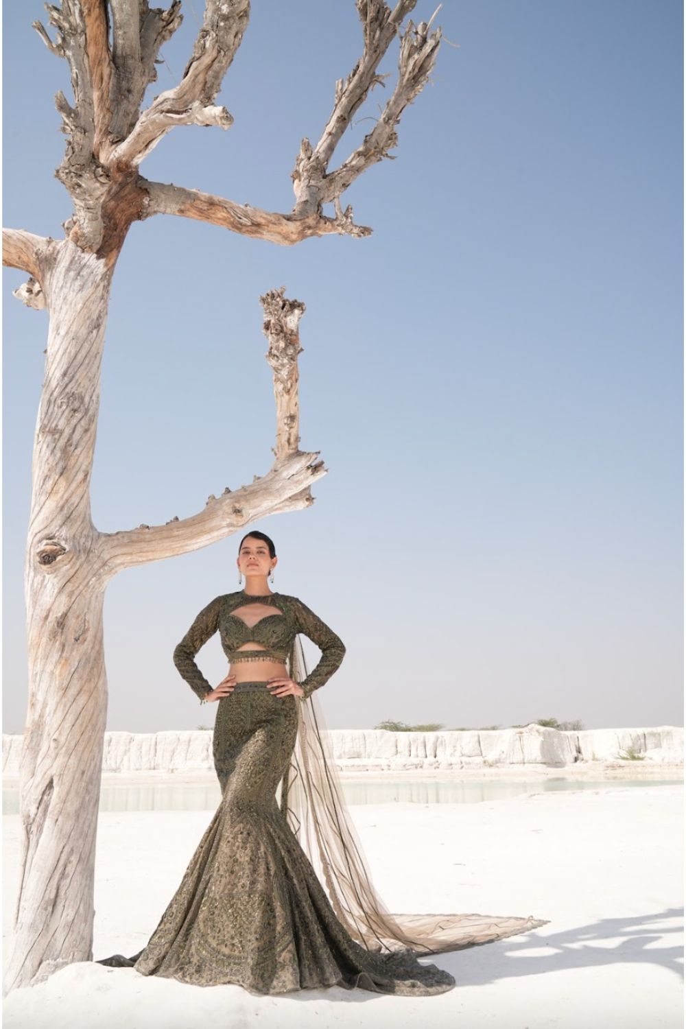 Green Bridal Lehenga with Sequence & Hand Embroidery