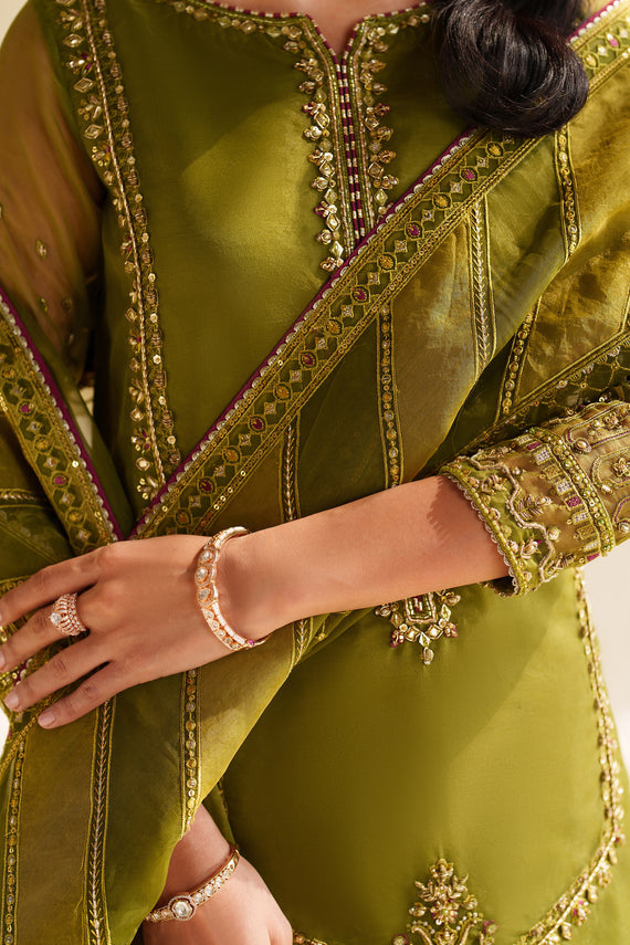 Naqshi | Feemora Organza Raw Silk | Feeha