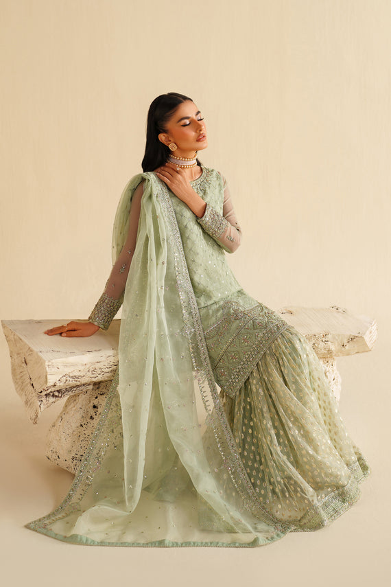Naqshi | Feemora Organza Raw Silk | Hanam