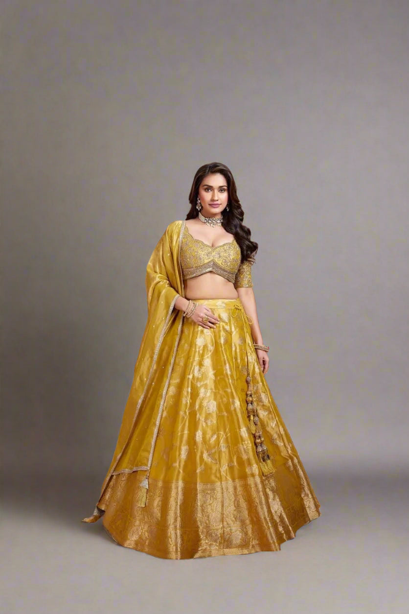 Stunning soft tissue lehenga Main image
