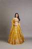 Stunning soft tissue lehenga