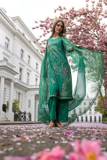 Sobia Nazir | Basics 25 | Design 5B