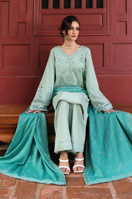 Naqshi | Nuri Khaddar Velvet Marina | Salsabeel