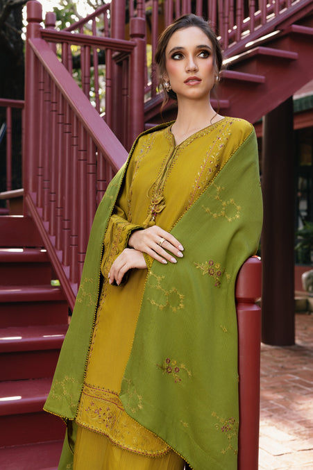 Naqshi | Nuri Khaddar Velvet Marina | Shanara