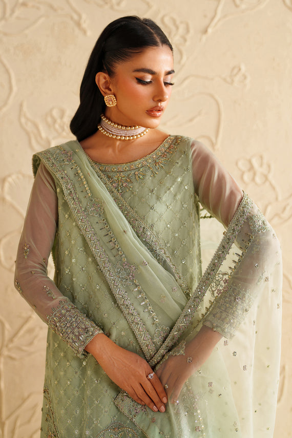 Naqshi | Feemora Organza Raw Silk | Hanam