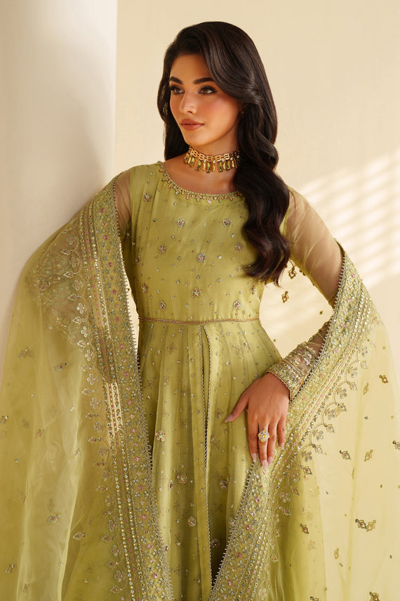 Naqshi | Feemora Organza Raw Silk | Zeesha