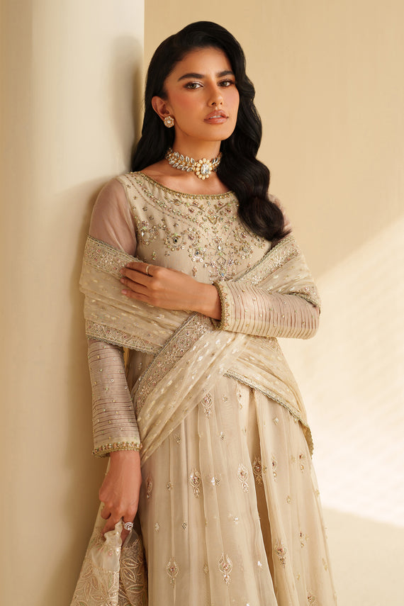 Naqshi | Feemora Organza Raw Silk | Aroha