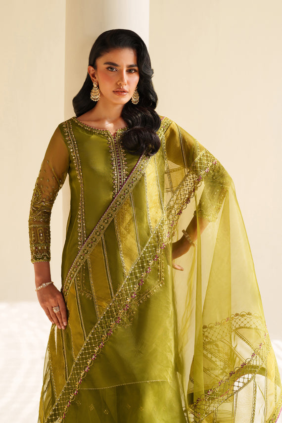 Naqshi | Feemora Organza Raw Silk | Feeha