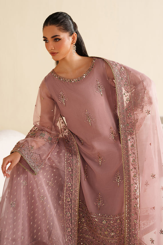 Naqshi | Feemora Organza Raw Silk | Ushna