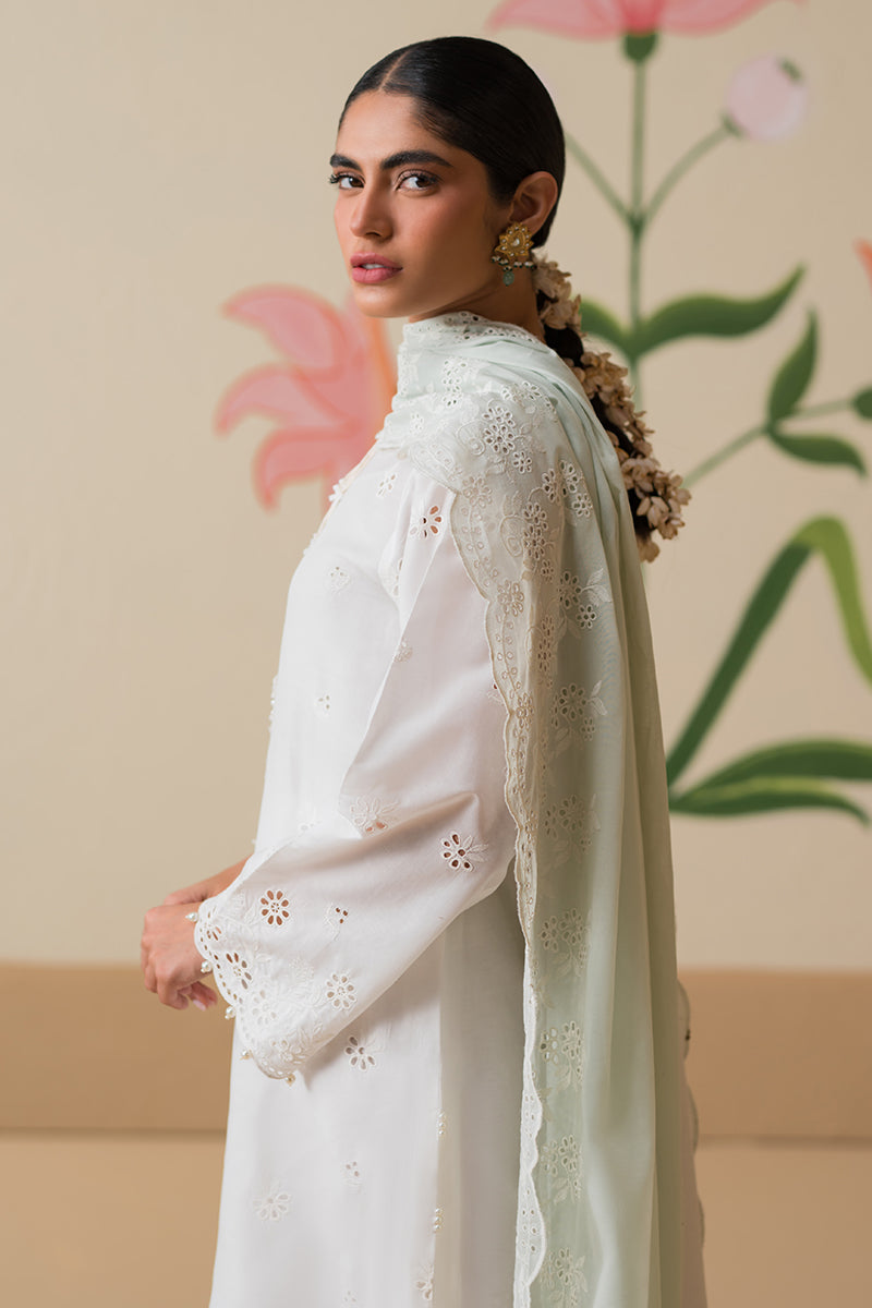 Cross Stitch | Chikankari Lawn Collection | P-06