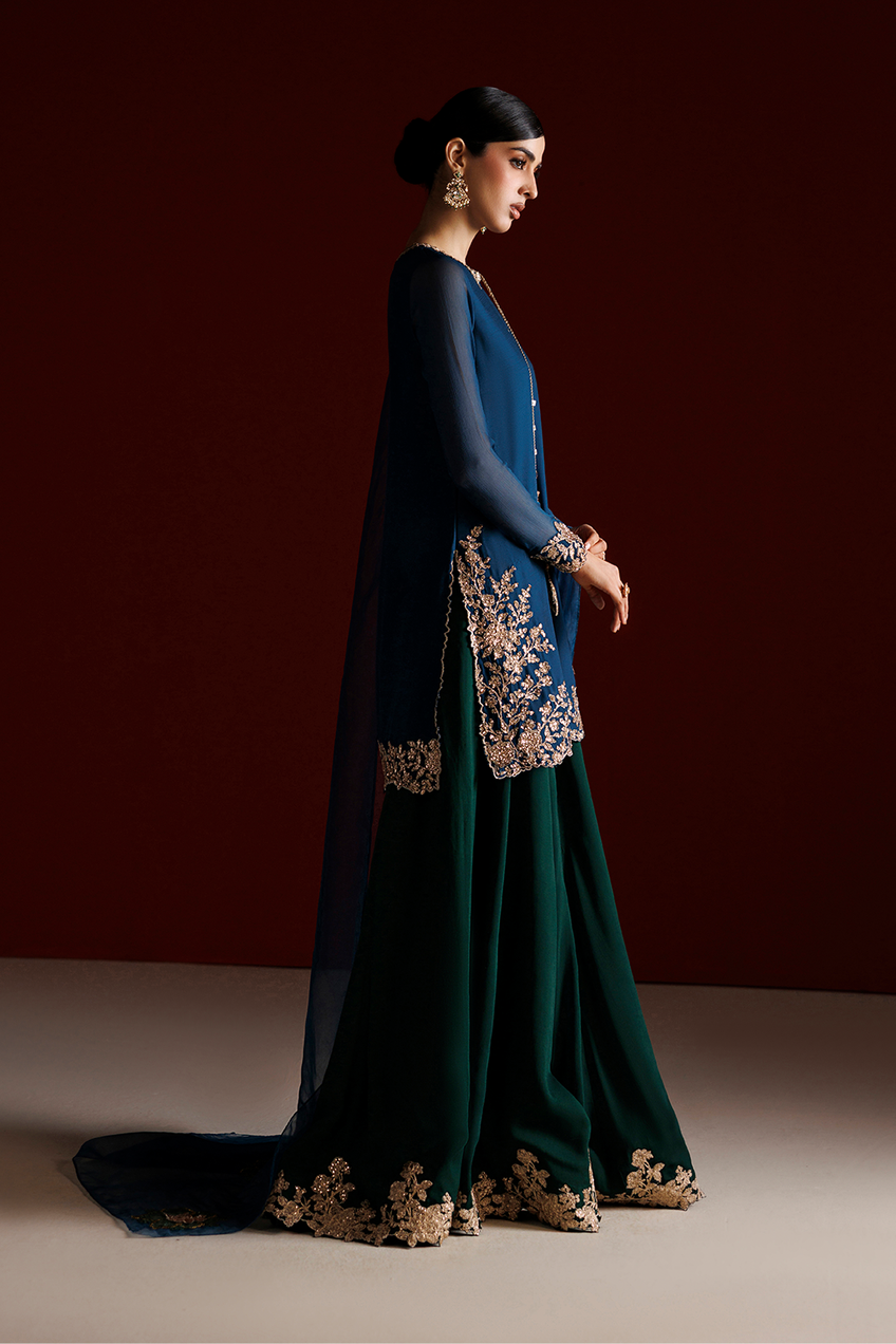 Iznik | Semi Formals'26 | CC-102 Embroidered Chiffon