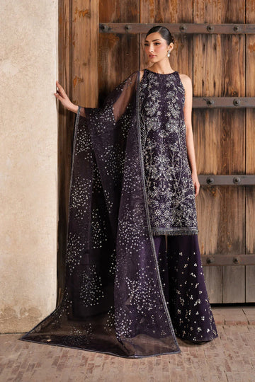 Iznik | Luxury Chiffon | ILC-06 Embroidered Organza