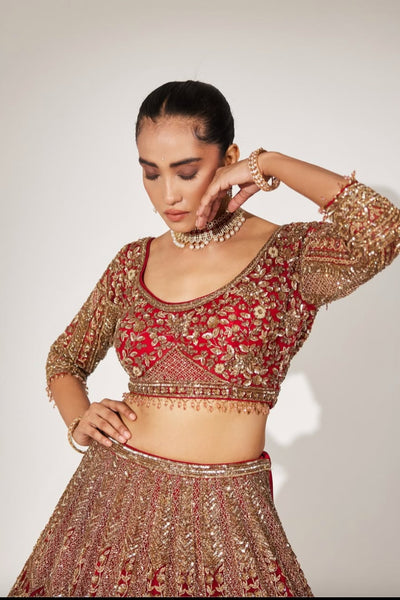 Gold on Red Bridal Lehenga with Heavy Embroidery