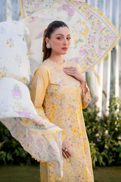 Aabyaan | Shezlin Chikankari Ramadan Edit 25 | NISA (AR-02)