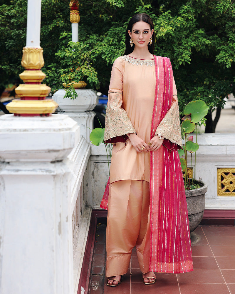 Ain | Prestige Festive Edit | AN-140 D