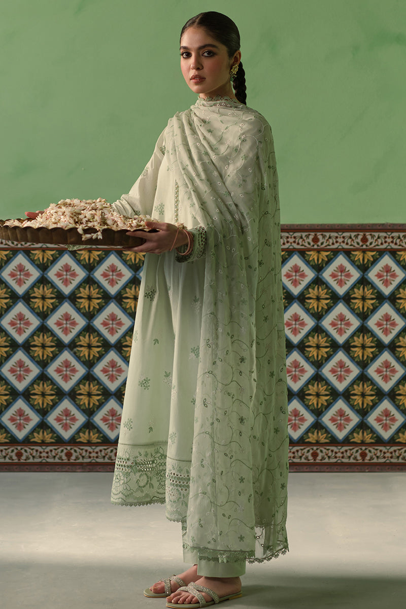 Cross Stitch | Chikankari Lawn Collection | P-01