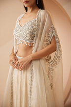 Sequins and stone ivory  lehenga