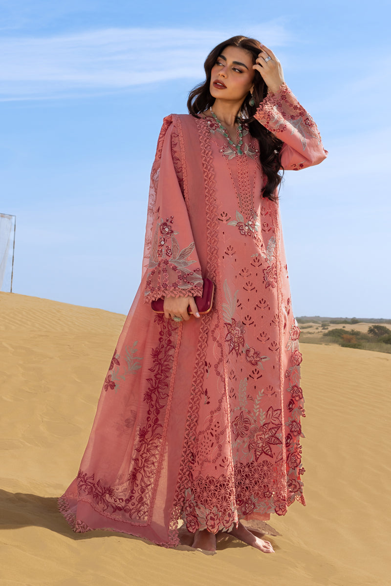 Rangrasiya | Premium Summer Collection 26 | Amani