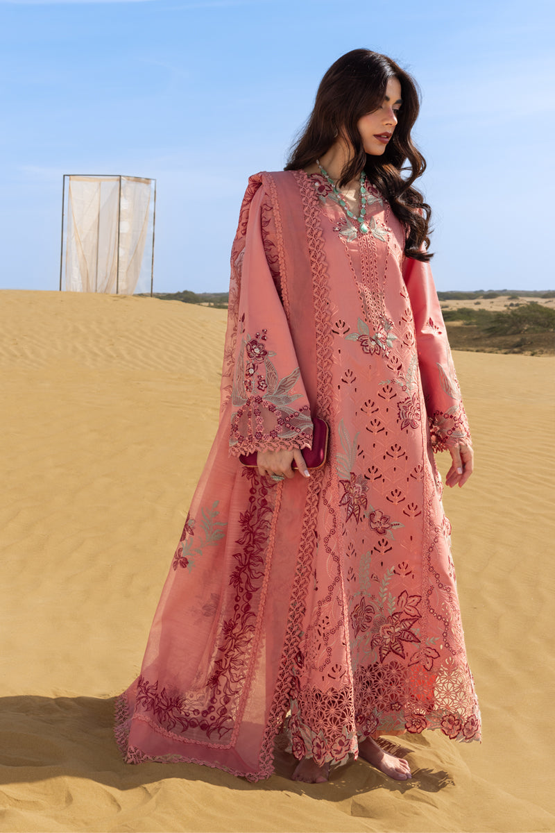 Rangrasiya | Premium Summer Collection 26 | Amani