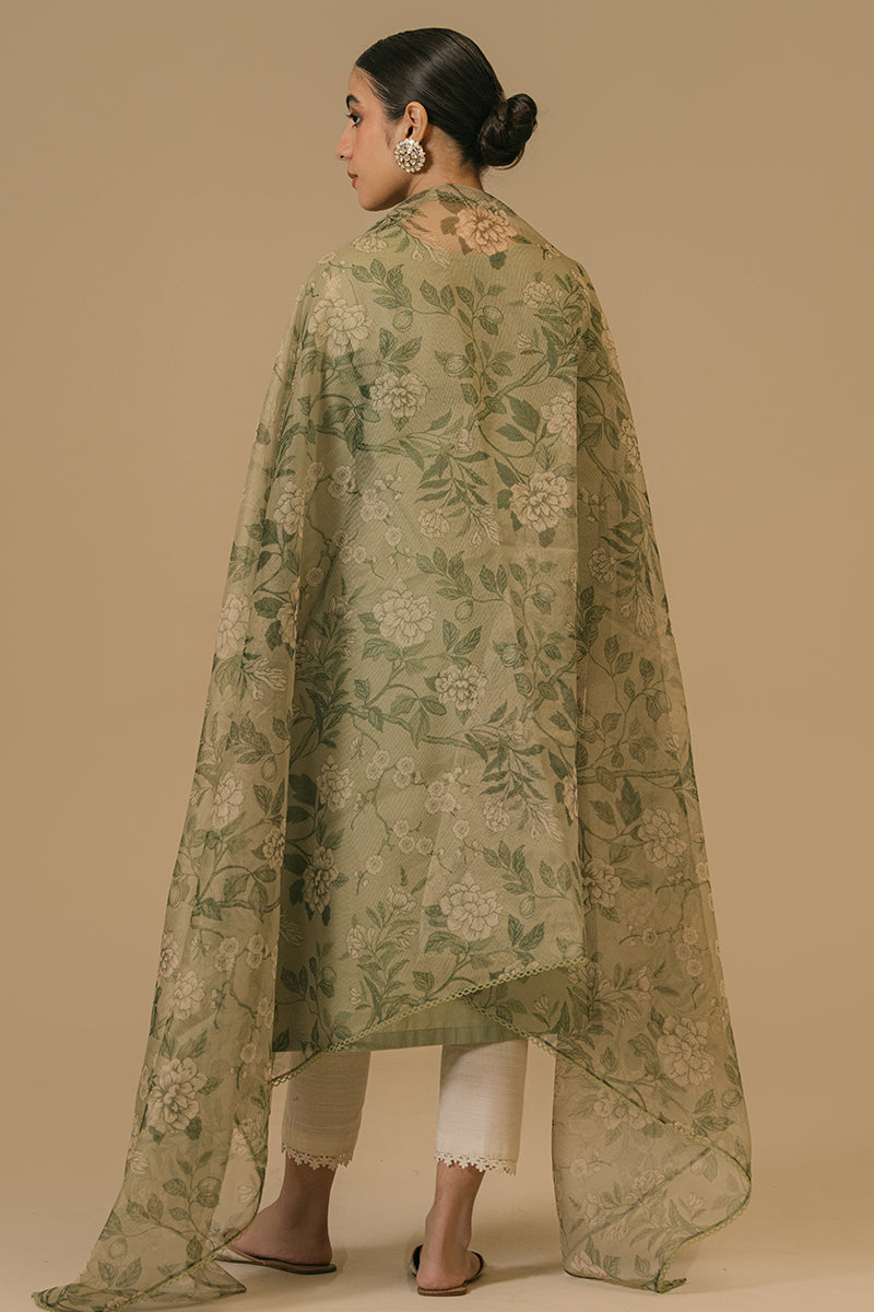 Cross Stitch | Eid Collection | OLIVE VISTA