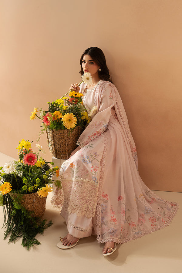 Afrozeh | The Haze 26 | Hazelen Blush