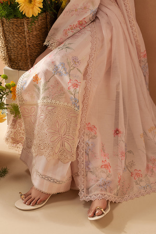 Afrozeh | The Haze 26 | Hazelen Blush