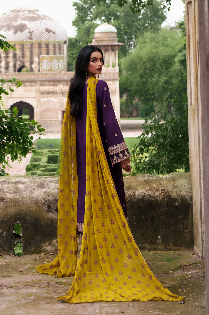 Saad Shaikh | Zaria Festive Pret 25 | RAVEN