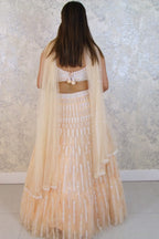 Moti work peach lehenga with soft dupatta